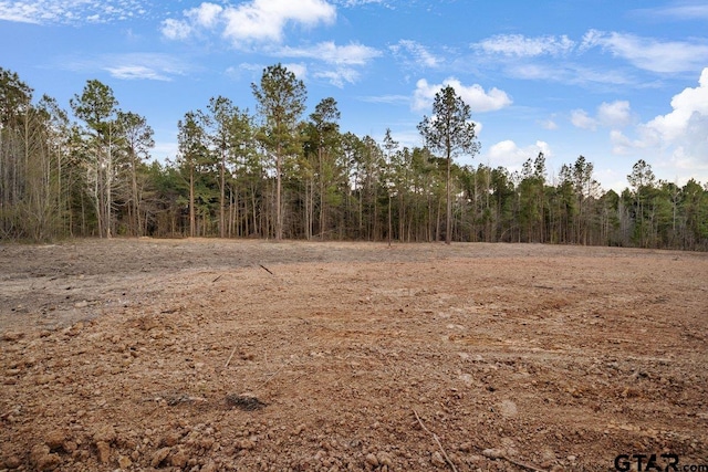 19140 County Road 2154, Troup, TX 75789 - photo 2