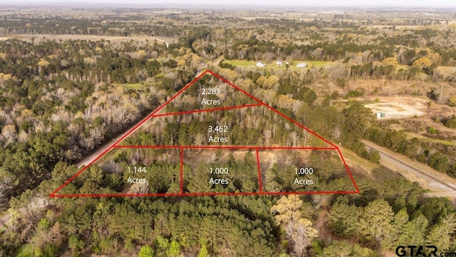 19140 County Road 2154, Troup, TX 75789 - photo 6