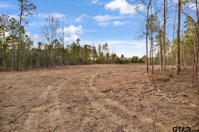 19140 County Road 2154, Troup, TX 75789 - photo 4