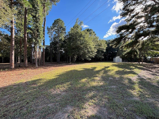 view of yard featuring a shed