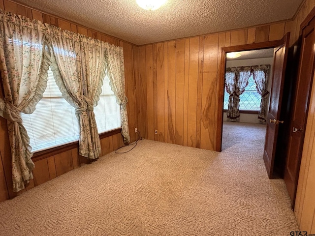 empty room with carpet floors, plenty of natural light, and wood walls