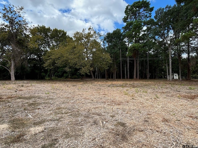 view of local wilderness