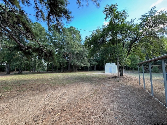 view of yard with a storage shed