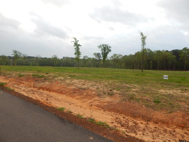 160 Indian, Rock Gilmer, TX 75645 - photo 1