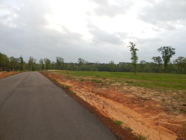 160 Indian, Rock Gilmer, TX 75645 - photo 7