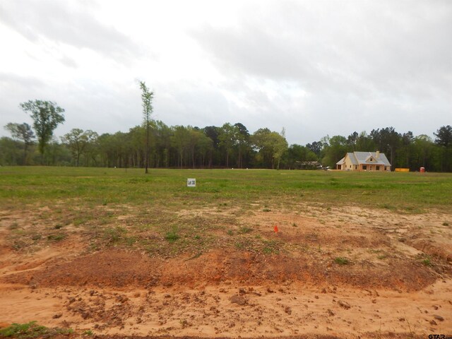160 Indian, Rock Gilmer, TX 75645 - photo 5