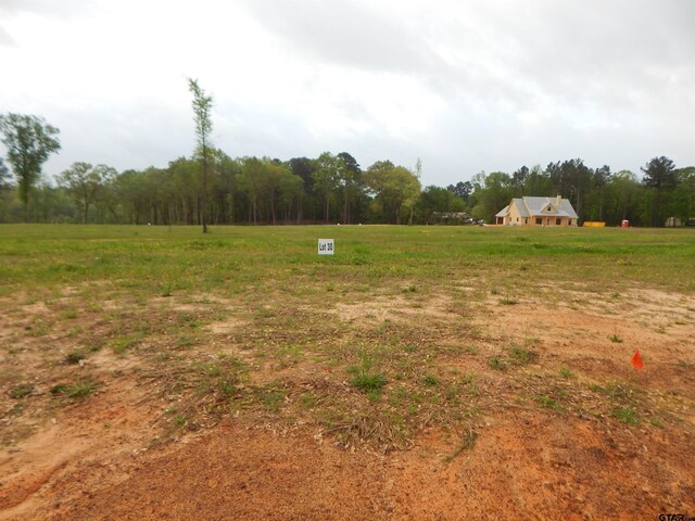 160 Indian, Rock Gilmer, TX 75645 - photo 9