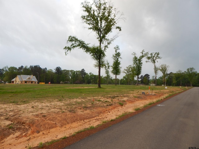 160 Indian, Rock Gilmer, TX 75645 - photo 3