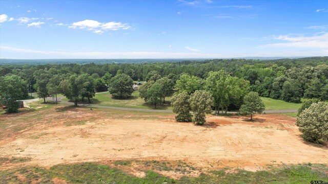 TBD County Road 322, Tyler, TX 75706 - photo 10