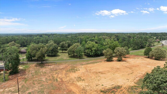 TBD County Road 322, Tyler, TX 75706 - photo 13