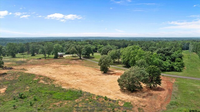 TBD County Road 322, Tyler, TX 75706 - photo 12