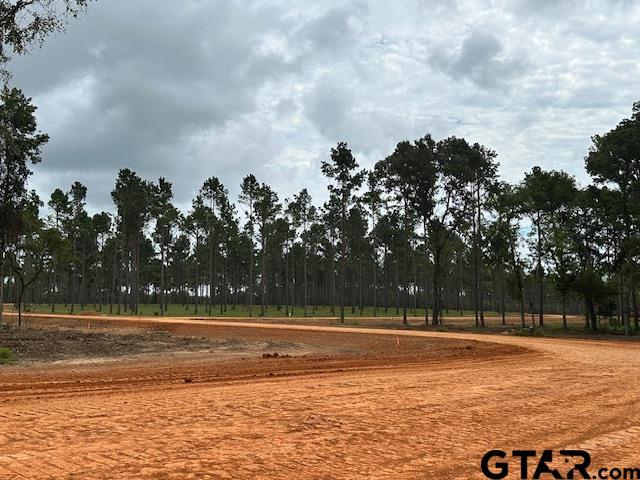 LOT34 Oak Riv, Frankston, TX 75763 - photo 30