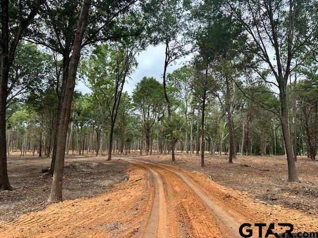 LOT34 Oak Riv, Frankston, TX 75763 - photo 12