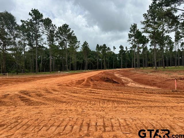 LOT34 Oak Riv, Frankston, TX 75763 - photo 21