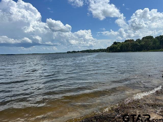 LOT34 Oak Riv, Frankston, TX 75763 - photo 2