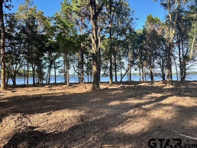 LOT34 Oak Riv, Frankston, TX 75763 - photo 5
