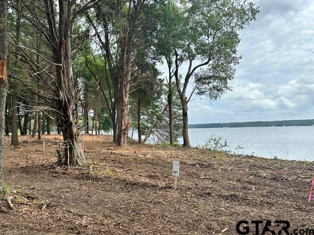 LOT34 Oak Riv, Frankston, TX 75763 - photo 11