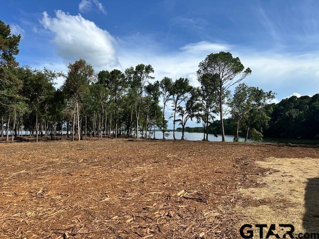 LOT34 Oak Riv, Frankston, TX 75763 - photo 32