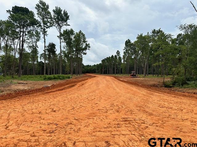 LOT34 Oak Riv, Frankston, TX 75763 - photo 18