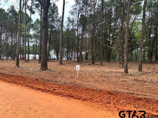 LOT34 Oak Riv, Frankston, TX 75763 - photo 14