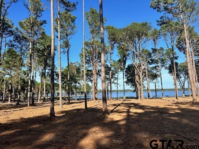 LOT34 Oak Riv, Frankston, TX 75763 - photo 4