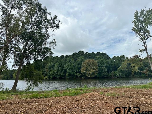 LOT34 Oak Riv, Frankston, TX 75763 - photo 6
