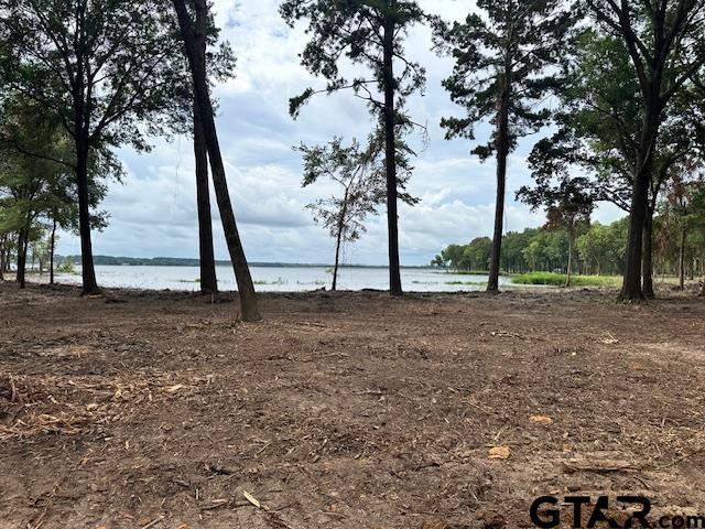 LOT34 Oak Riv, Frankston, TX 75763 - photo 13