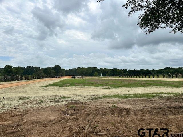 LOT34 Oak Riv, Frankston, TX 75763 - photo 27