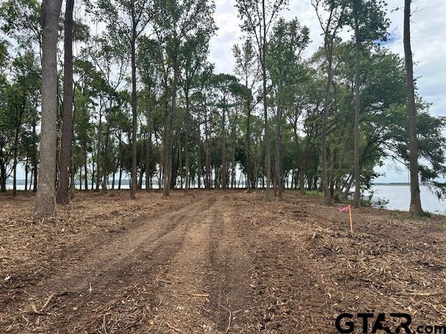 LOT34 Oak Riv, Frankston, TX 75763 - photo 7