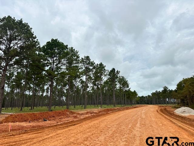 LOT34 Oak Riv, Frankston, TX 75763 - photo 20