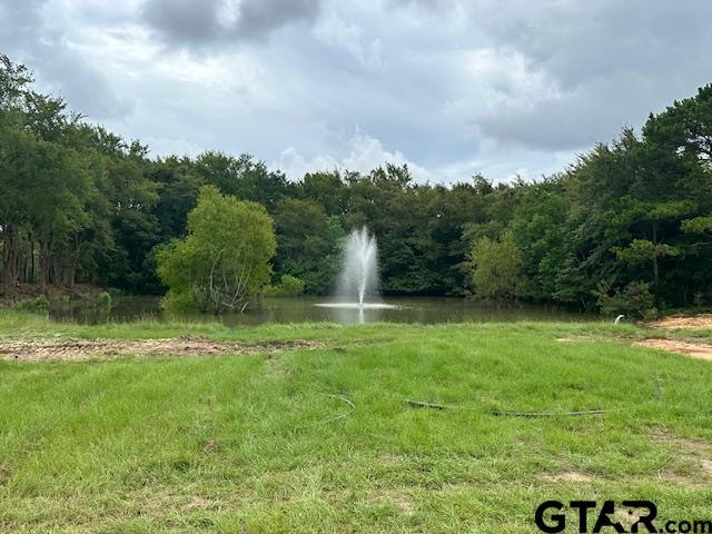 LOT34 Oak Riv, Frankston, TX 75763 - photo 25