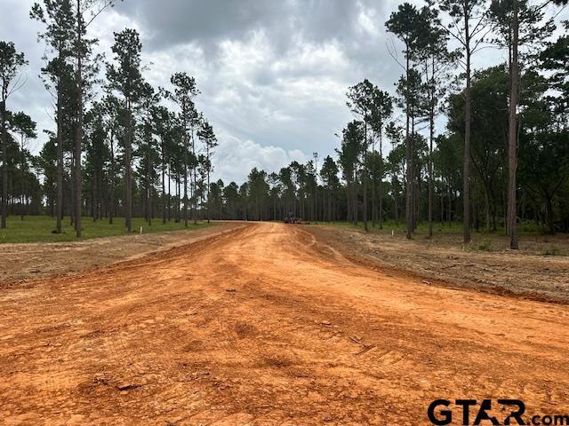 LOT34 Oak Riv, Frankston, TX 75763 - photo 22