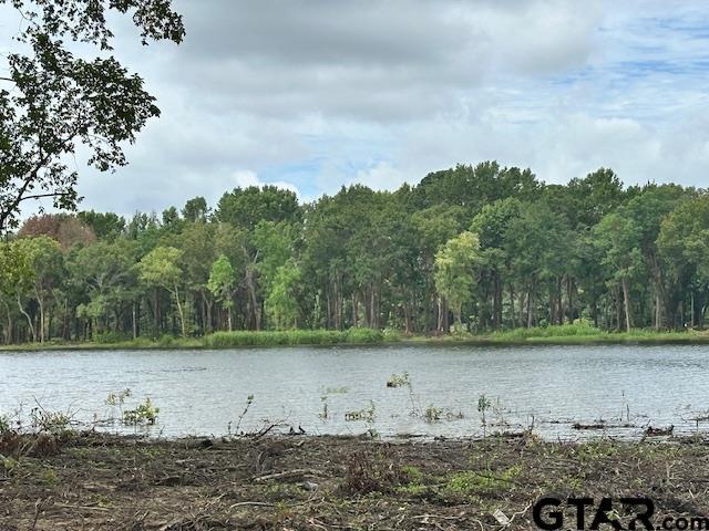 LOT34 Oak Riv, Frankston, TX 75763 - photo 10