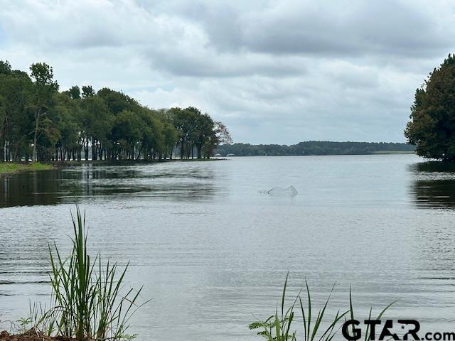 LOT34 Oak Riv, Frankston, TX 75763 - photo 17