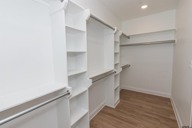walk in closet with wood finished floors