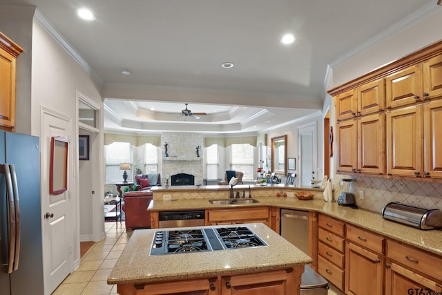 kitchen featuring sink, stainless steel appliances, tasteful backsplash, a tray ceiling, and a fireplace