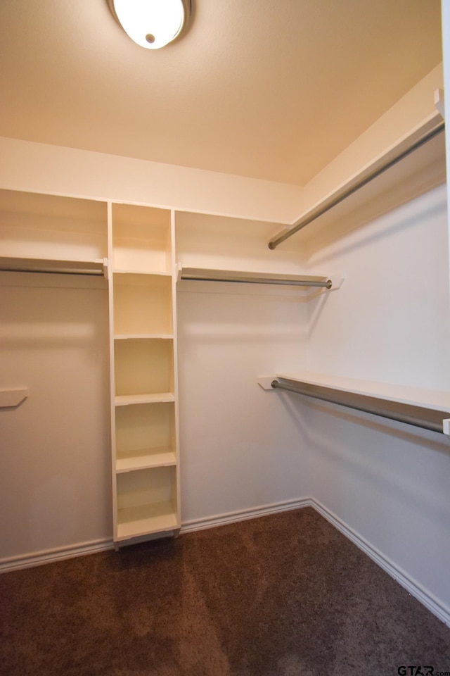 spacious closet with carpet