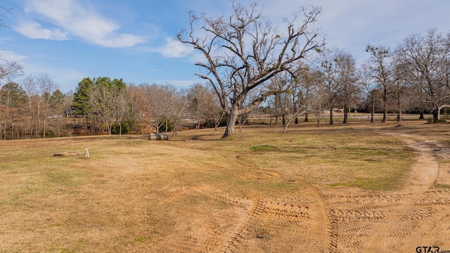 view of yard featuring a rural view