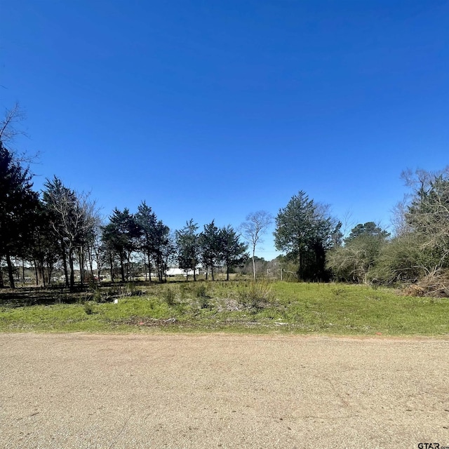 Listing photo 2 for 133 W Royal Dr, Bullard TX 75757