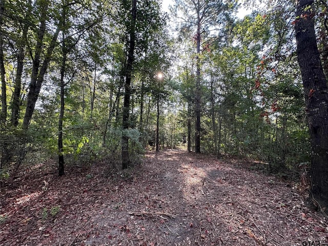 Listing photo 3 for 2NDTRACT10AC Fm 852, Gilmer TX 75644