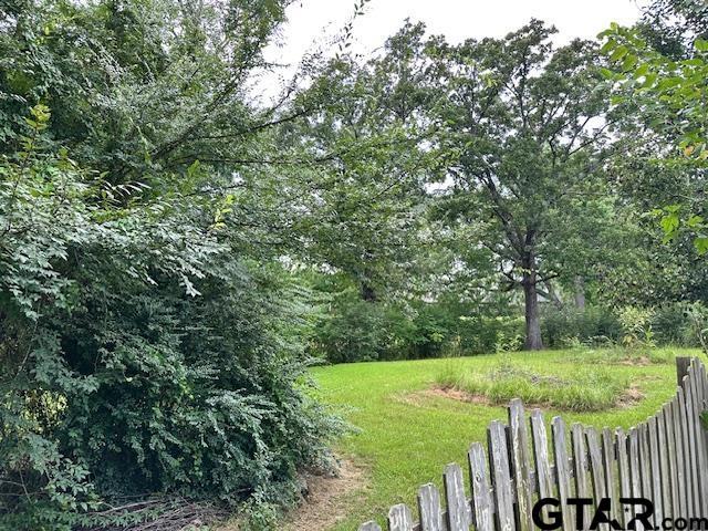 1712 Onyx Cv, Whitehouse, TX 75791 - view of yard