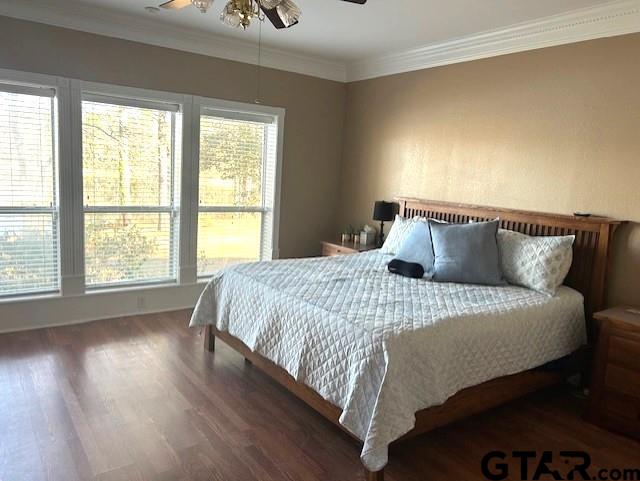 bedroom featuring multiple windows, crown molding, dark wood-type flooring, and ceiling fan