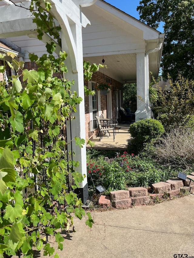 view of patio