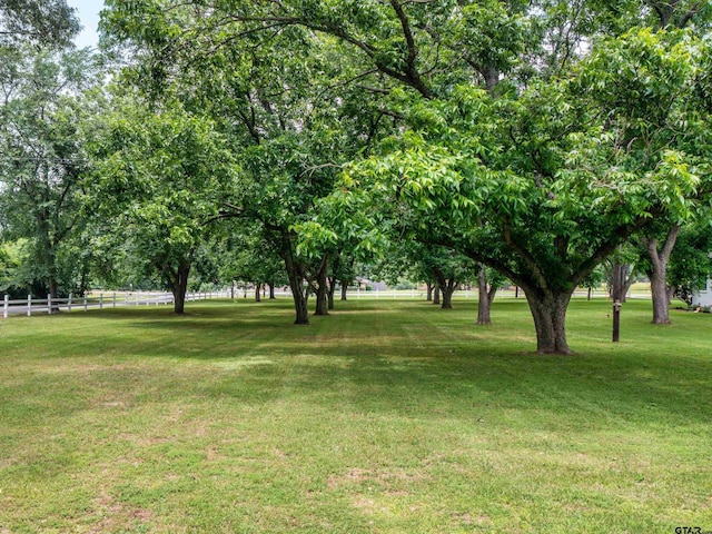 14900 Fm 848, Whitehouse, TX 75791 - view of yard