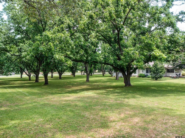 14900 Fm 848, Whitehouse, TX 75791 - view of grassy yard