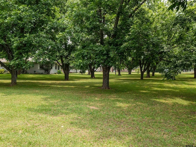 14900 Fm 848, Whitehouse, TX 75791 - view of green lawn