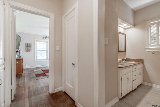 bathroom featuring baseboards, wood finished floors, and vanity