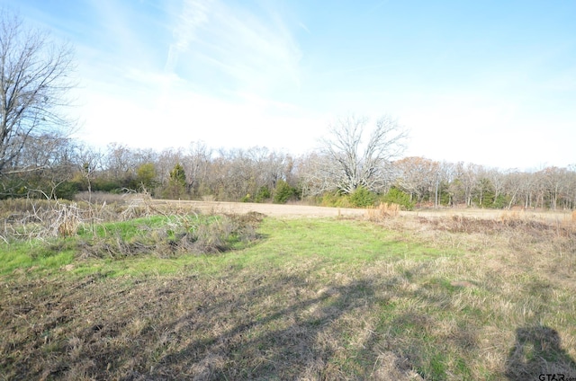 view of yard with a rural view