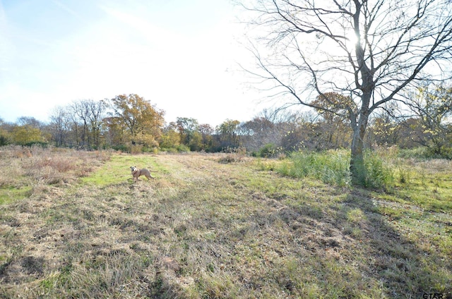 view of landscape