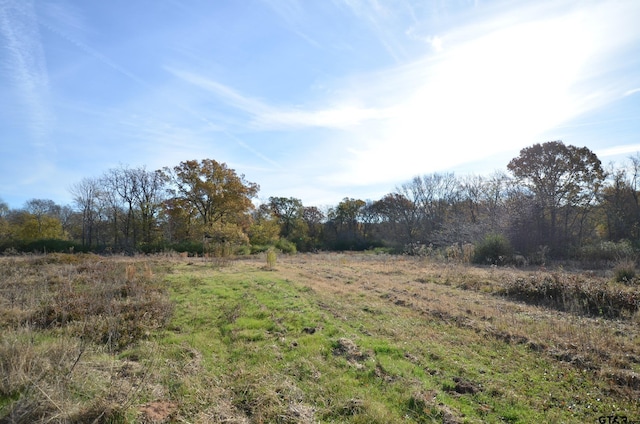 view of local wilderness